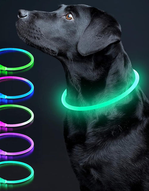 Load image into Gallery viewer, LED Dog Collar Light up Dog Collars 1 Count USB Rechargeable TPU Glow Safety Basic Dog Collars for Large Medium Small Dogs (Cyan)
