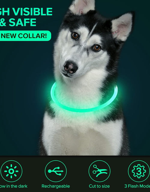 Load image into Gallery viewer, LED Dog Collar Light up Dog Collars 1 Count USB Rechargeable TPU Glow Safety Basic Dog Collars for Large Medium Small Dogs (Cyan)
