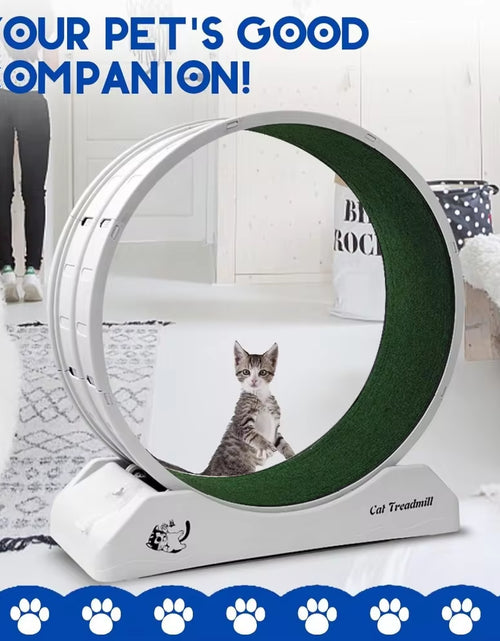 Load image into Gallery viewer, Cat Treadmill Wheel Exerciser for Kitty’S Longer Life Interesting Products Cat Running Wheel with Carpeted Runway Cats Toys Pet
